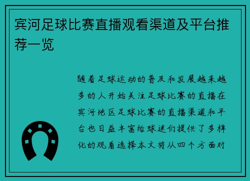 宾河足球比赛直播观看渠道及平台推荐一览